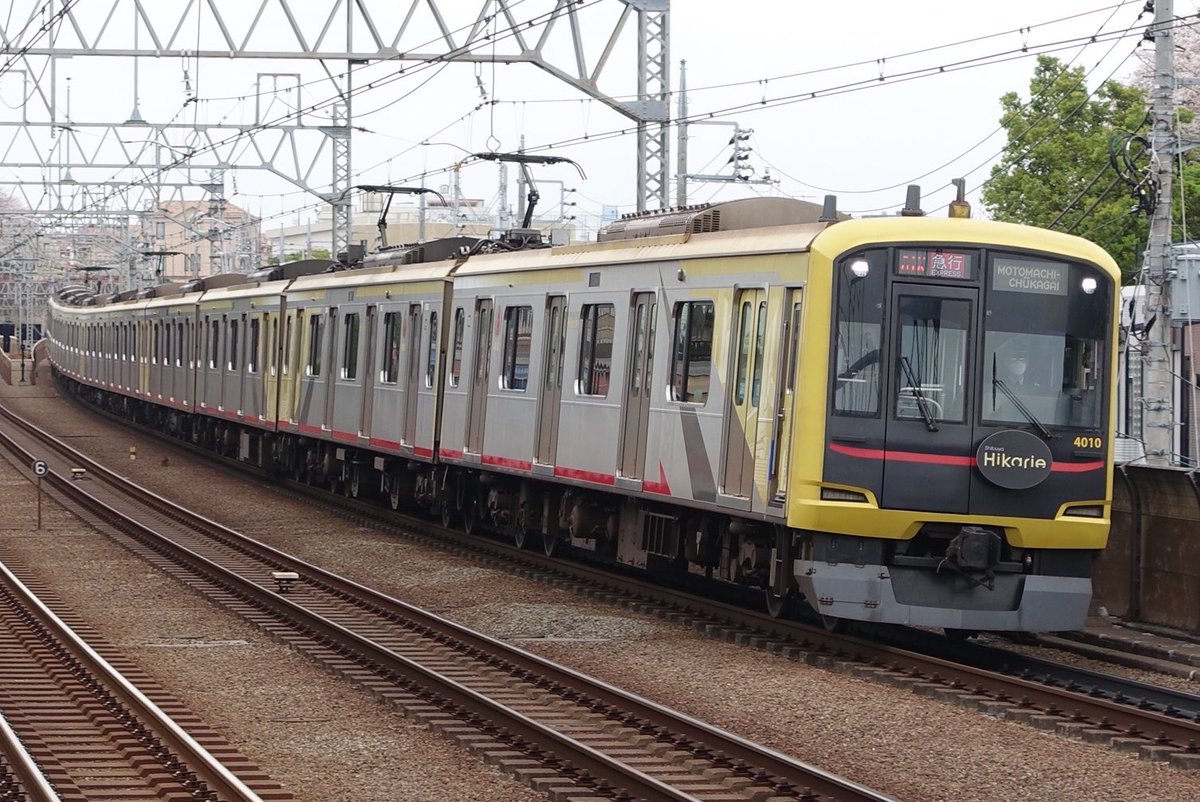 𓄿メイロク tweet media