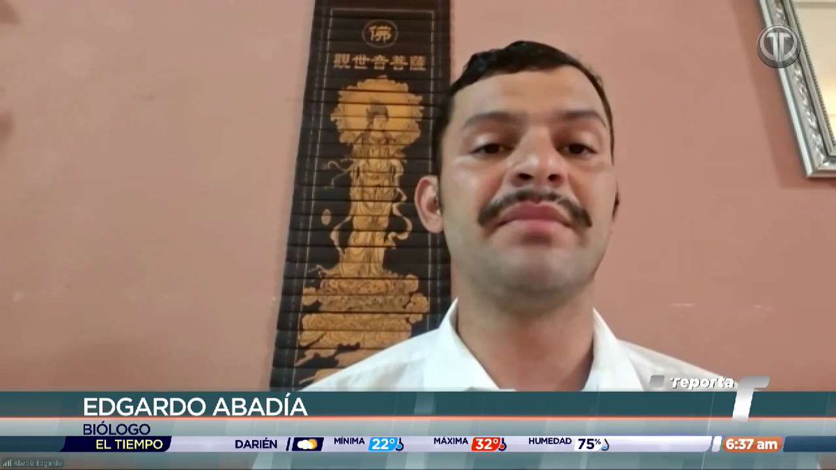 Telemetro Reporta tweet media