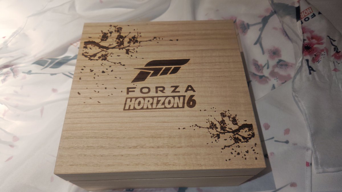 Dan5Okada's tweet image. 今開封したんだけど、これはめっちゃ嬉しいー！！
箱が本格的過ぎるw 
#forzahorizon6
#xbox