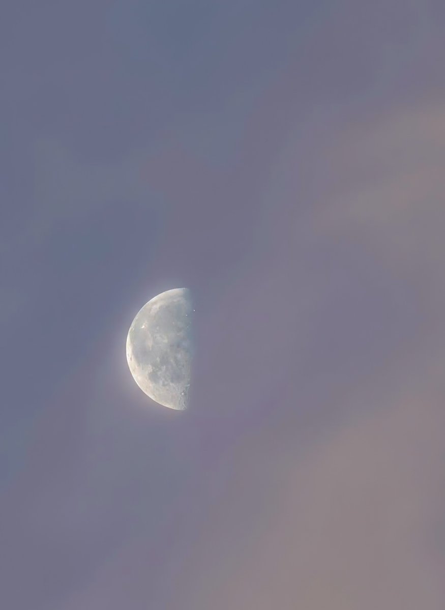 dans 🔰 tweet media