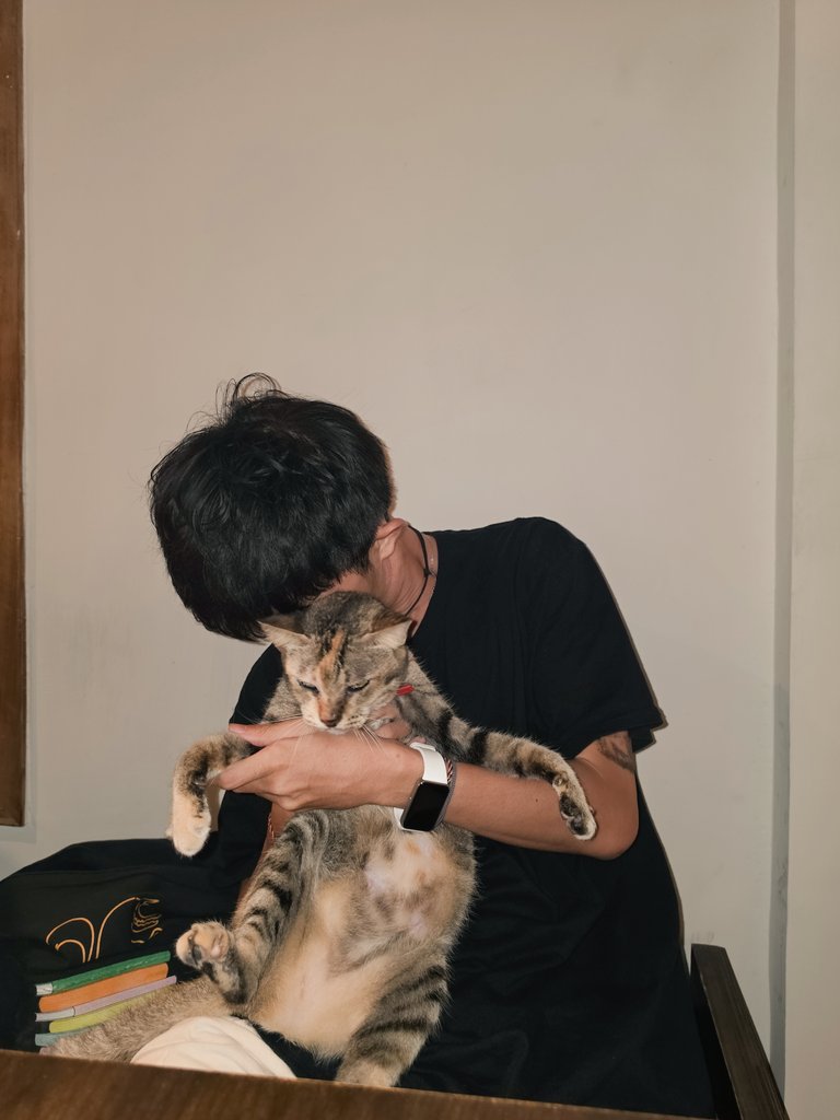 dans 🔰 tweet media