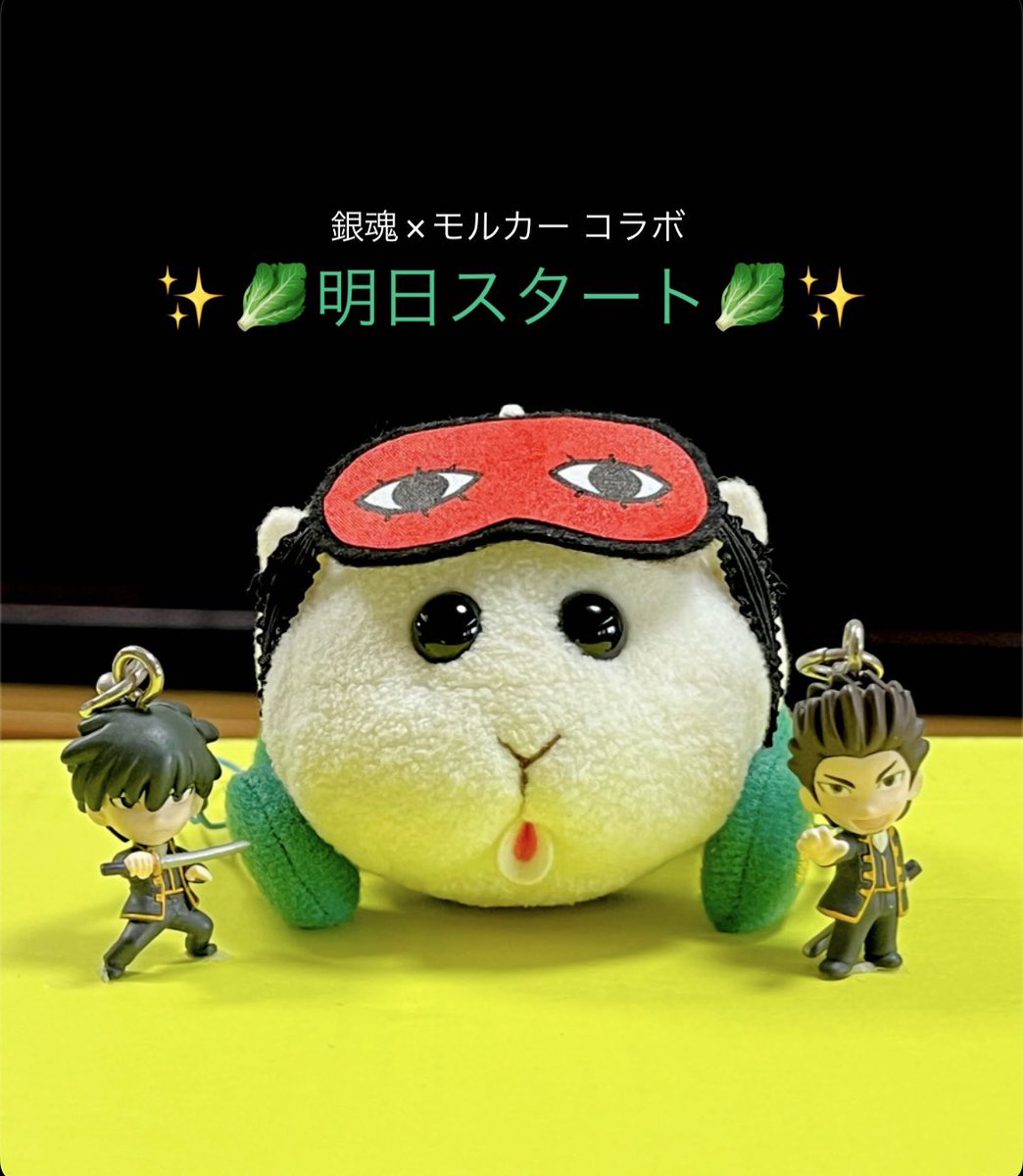 晴日@取引兼 tweet media