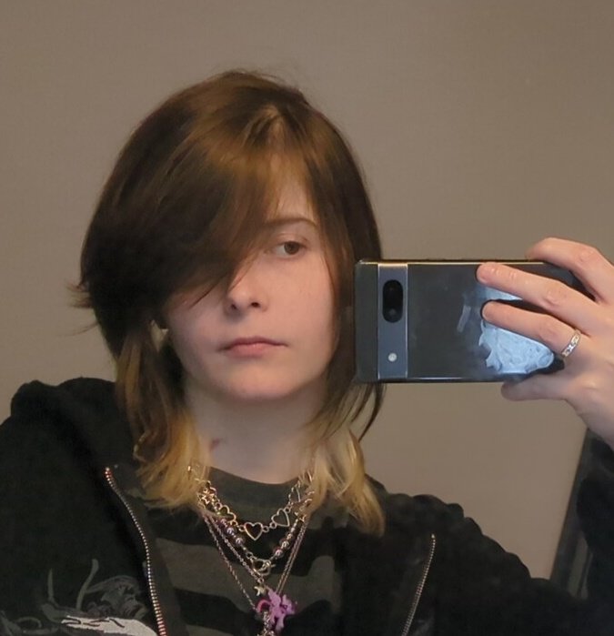 dakota tweet media