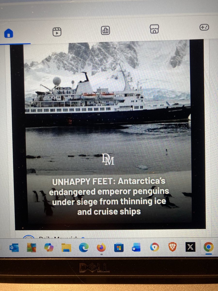 elisetempelhoff's tweet image. #Antarctica should be a NO GO for tourists! The area is much too senditive. Please read this article in ⁦@dailymaverick⁩ 👇