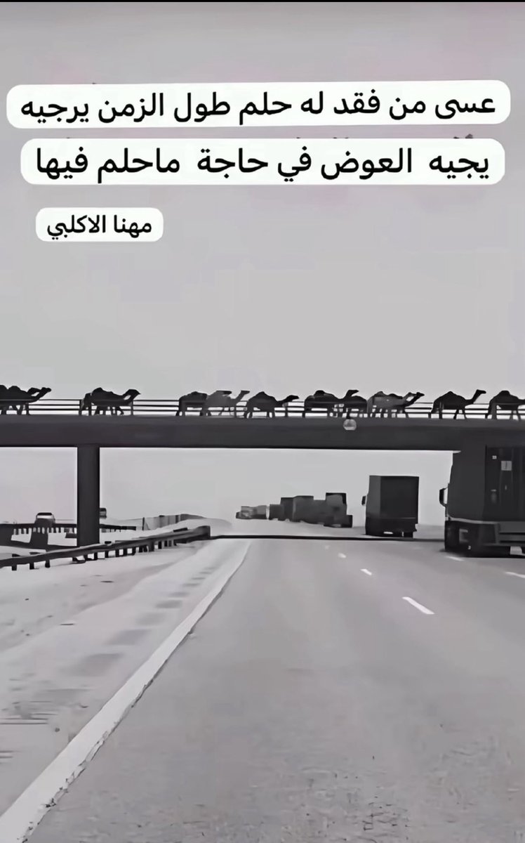هيا ❣️ j_12joj tweet media