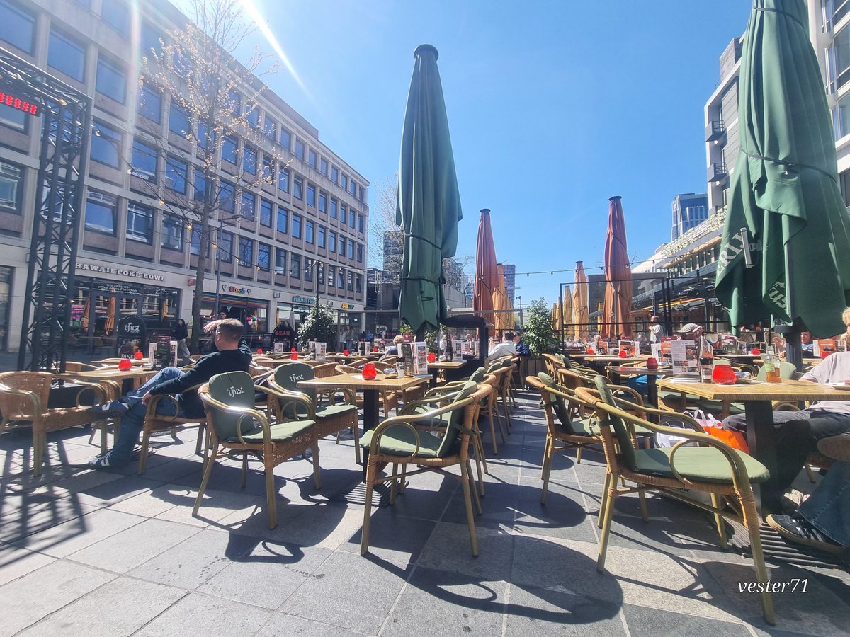 vester71 tweet media