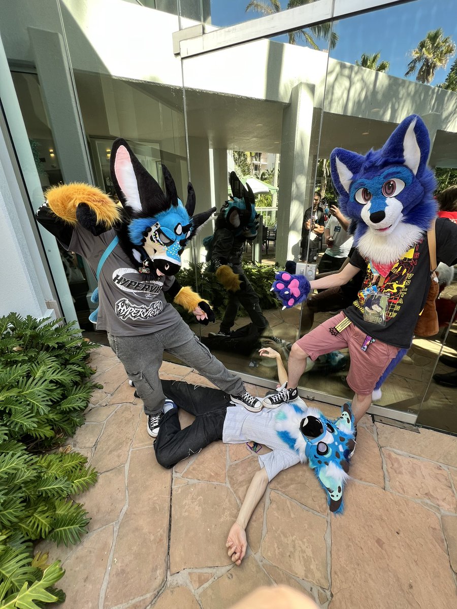 snarlykit tweet media