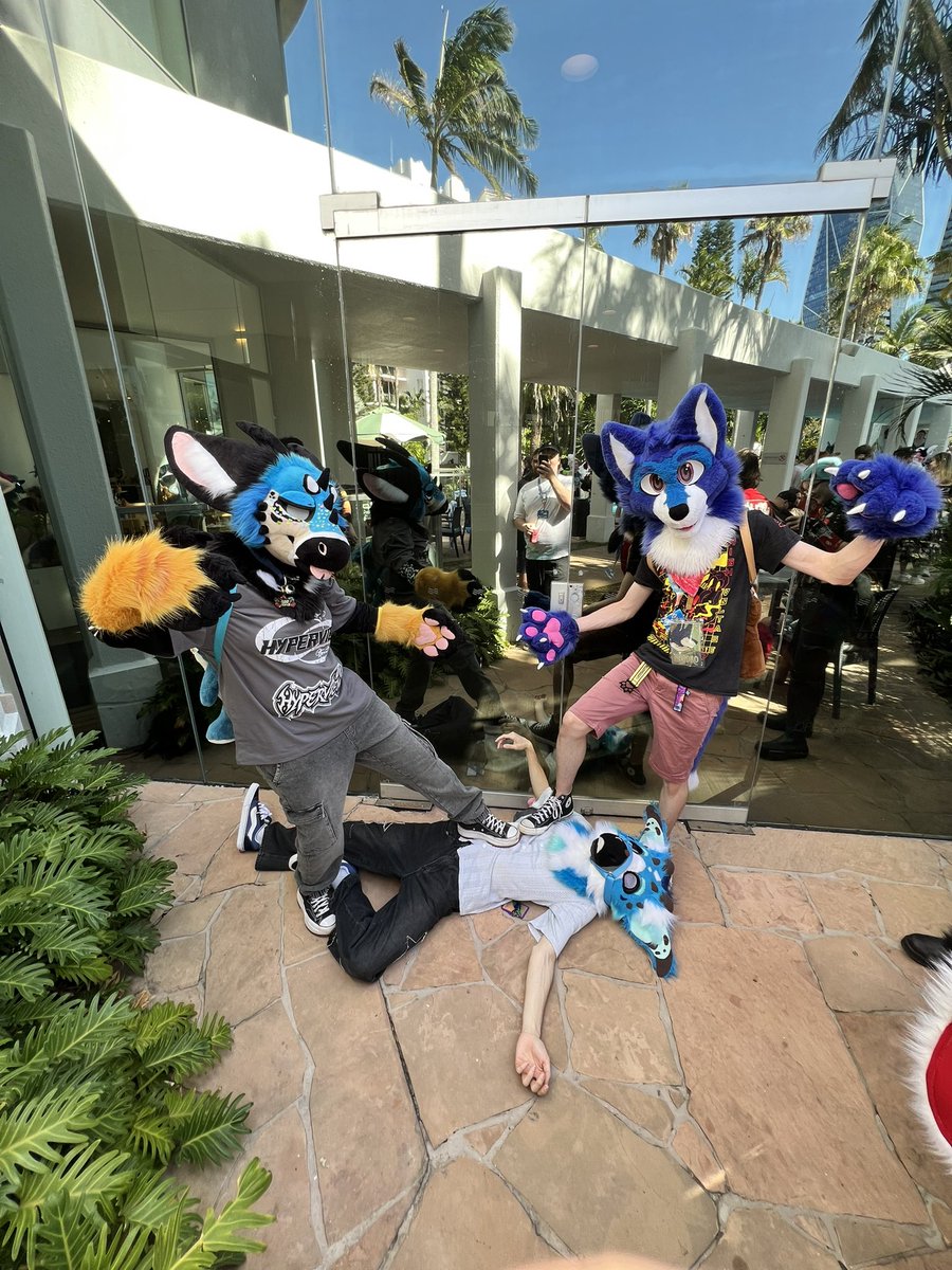 snarlykit tweet media