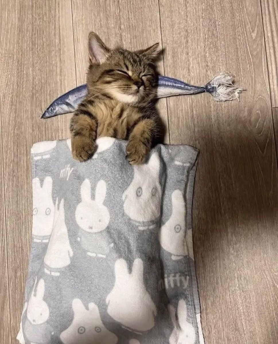 癒される動物 tweet media