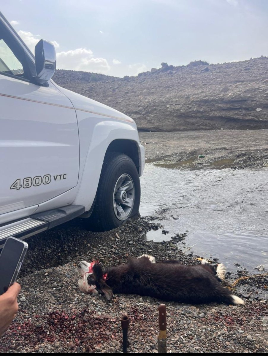 أَسعد الغافري tweet media