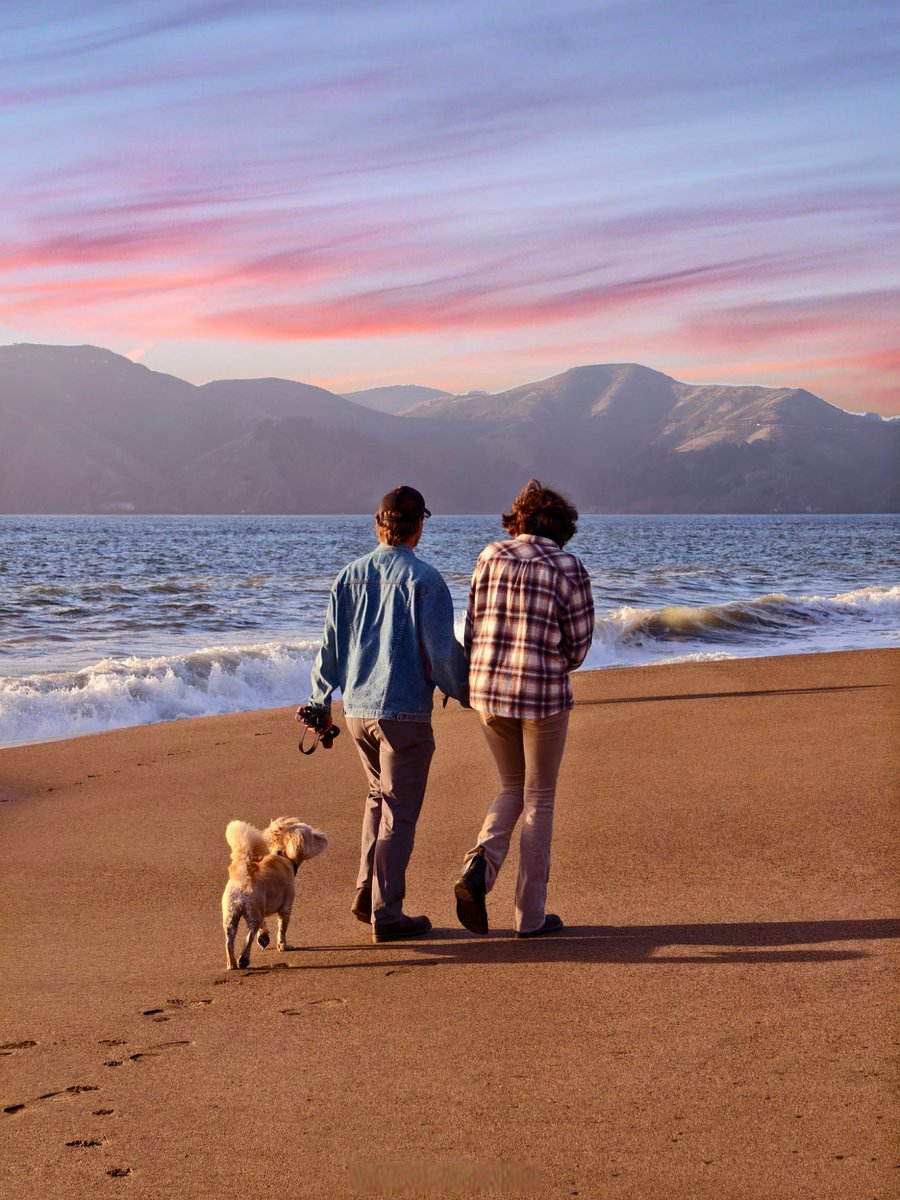 Lucilena Rodrigues tweet media