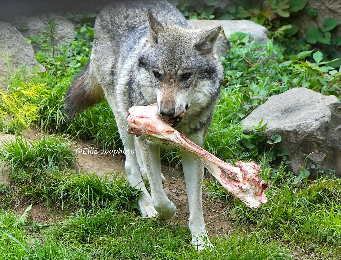 エリー tweet media