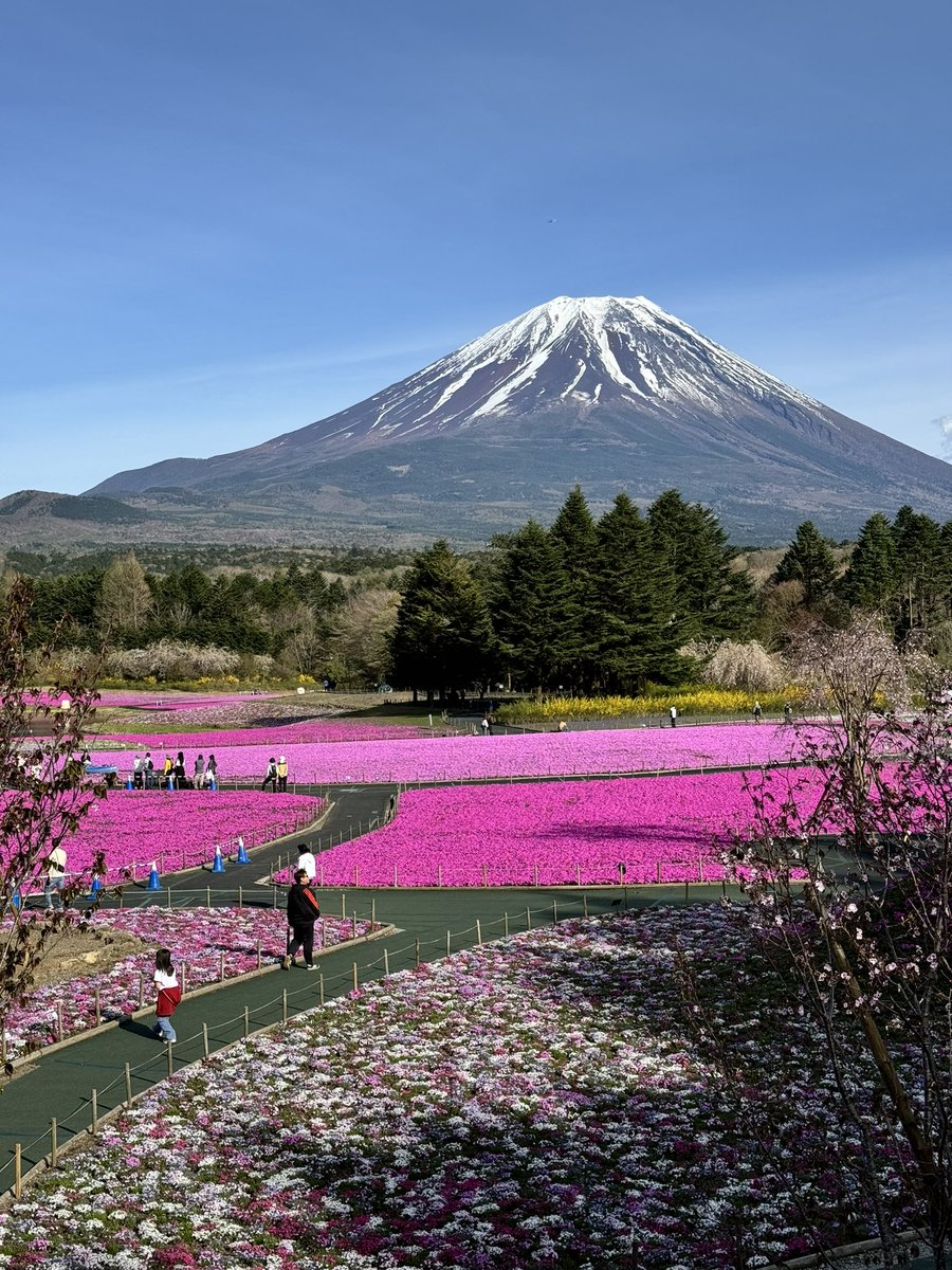 ˗ˏˋ チーズ tweet media