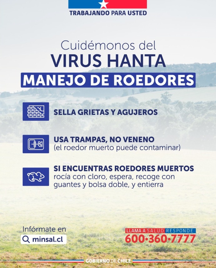 hospitalpm's tweet image. 📍 ¡NO BAJES LA GUARDIA! El Hanta no se va con el verano. 🐭🍂

Con el frío en la Región de Los Lagos, los roedores buscan refugio en casas y bodegas.

✅ Sella grietas ✅ Usa trampas, no veneno ✅ Desinfecta con cloro antes de limpiar
#TrabajandoParaUsted #HPM #PuertoMontt