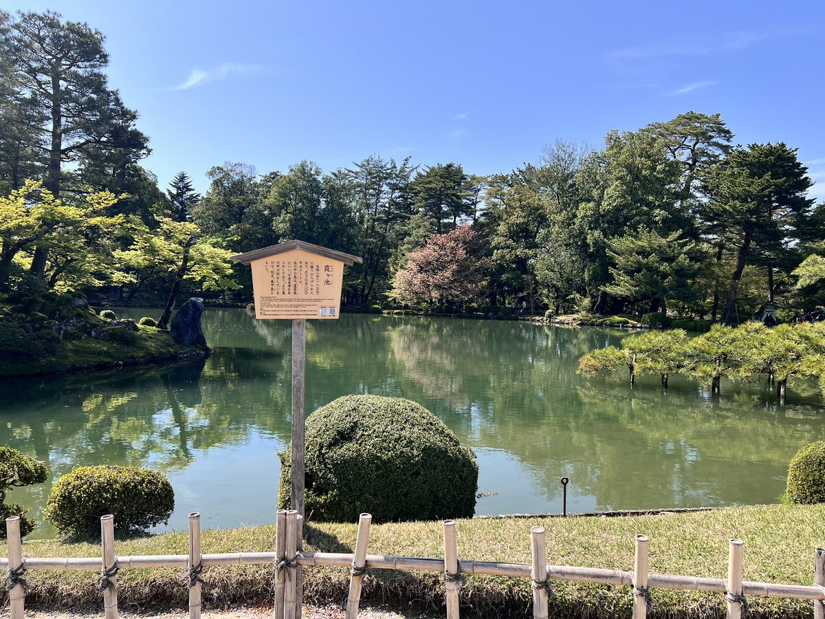 磁場ニャン tweet media