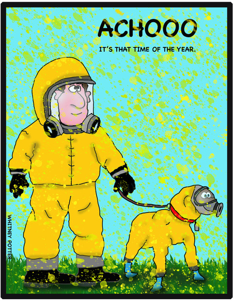 Shoreline Area News tweet media