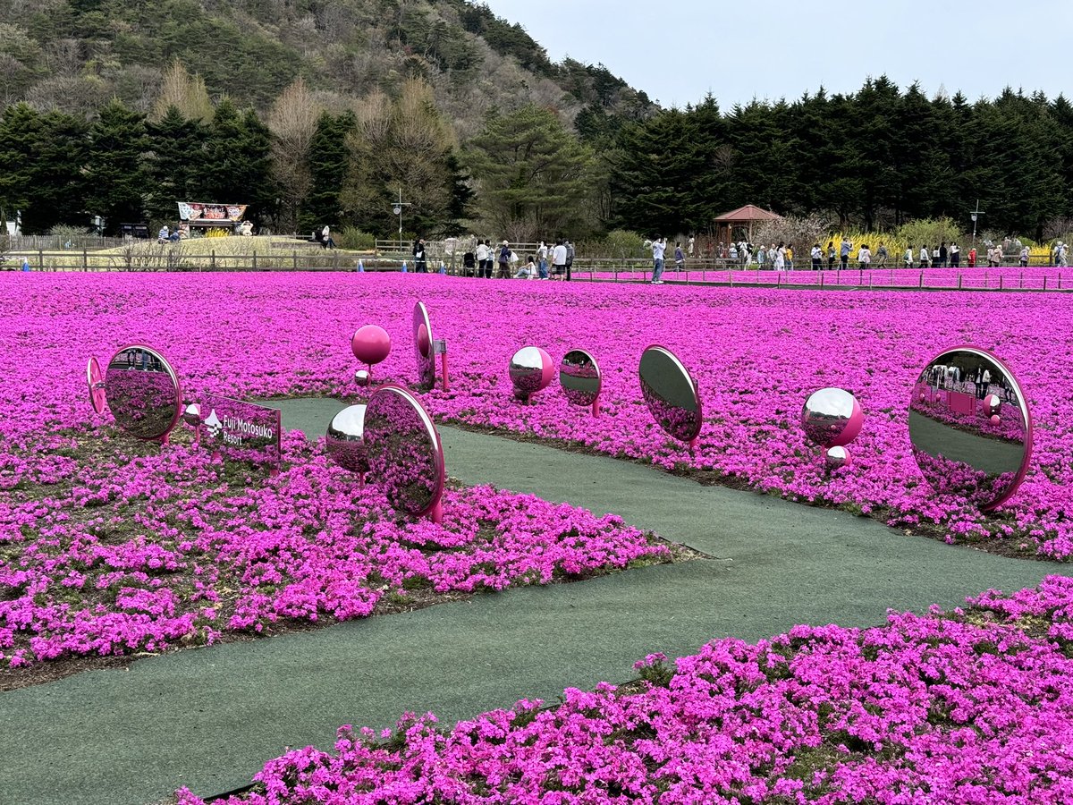 ˗ˏˋ チーズ tweet media