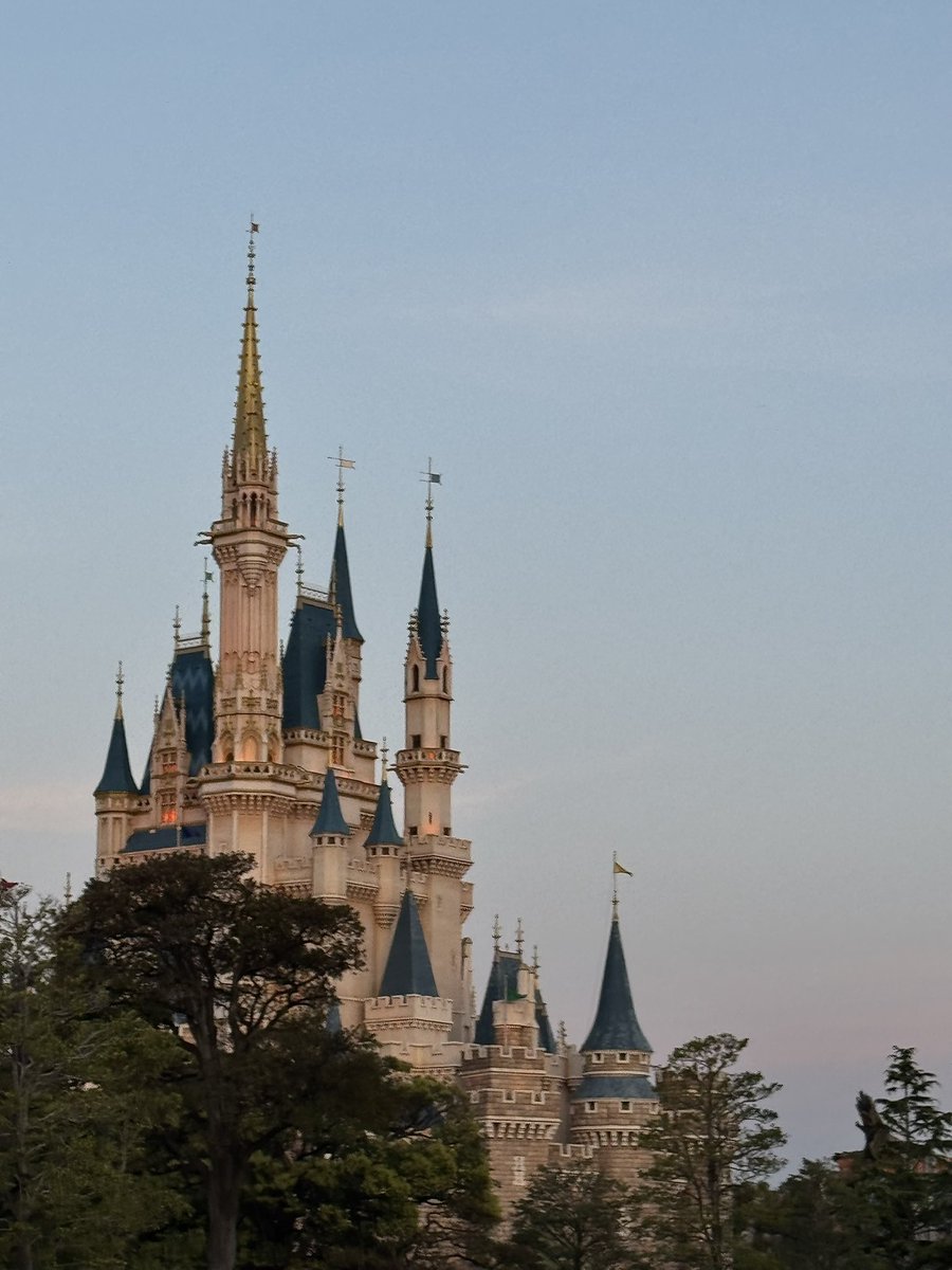 𝘮𝘢 tweet media