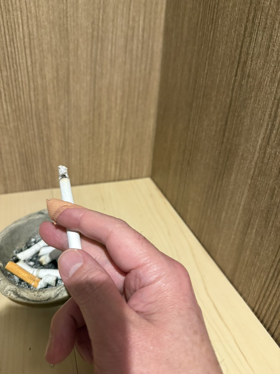 こすひろ tweet media