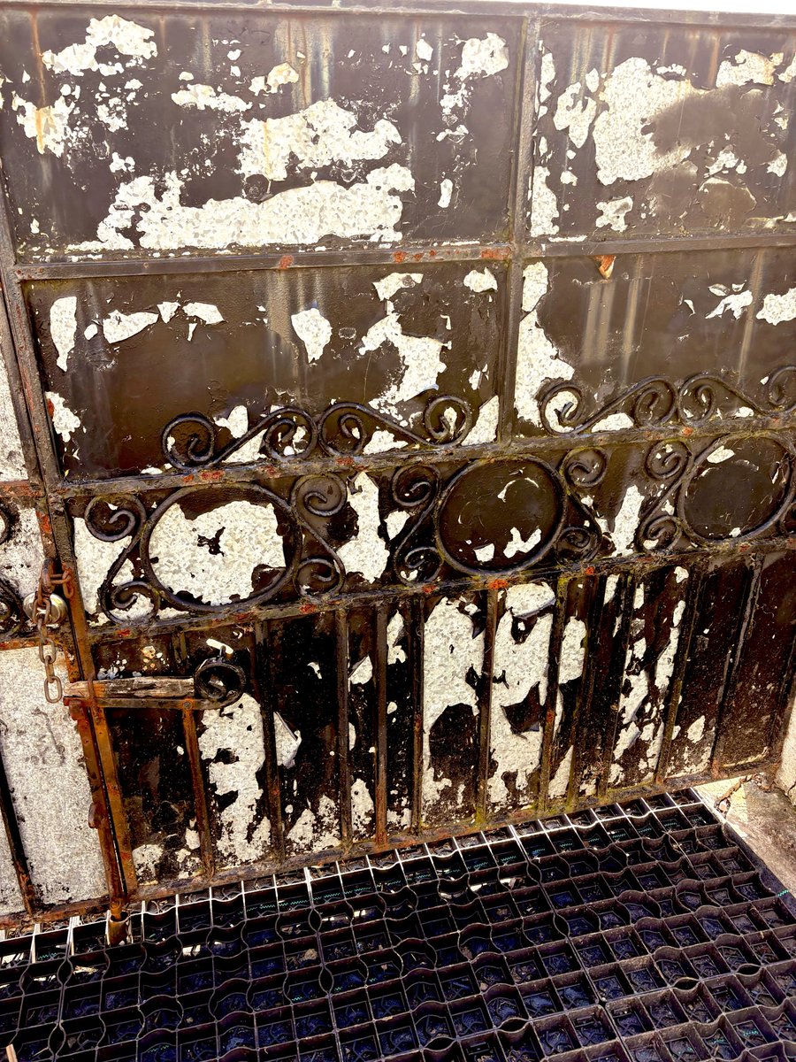 My Lens My Perspective tweet media