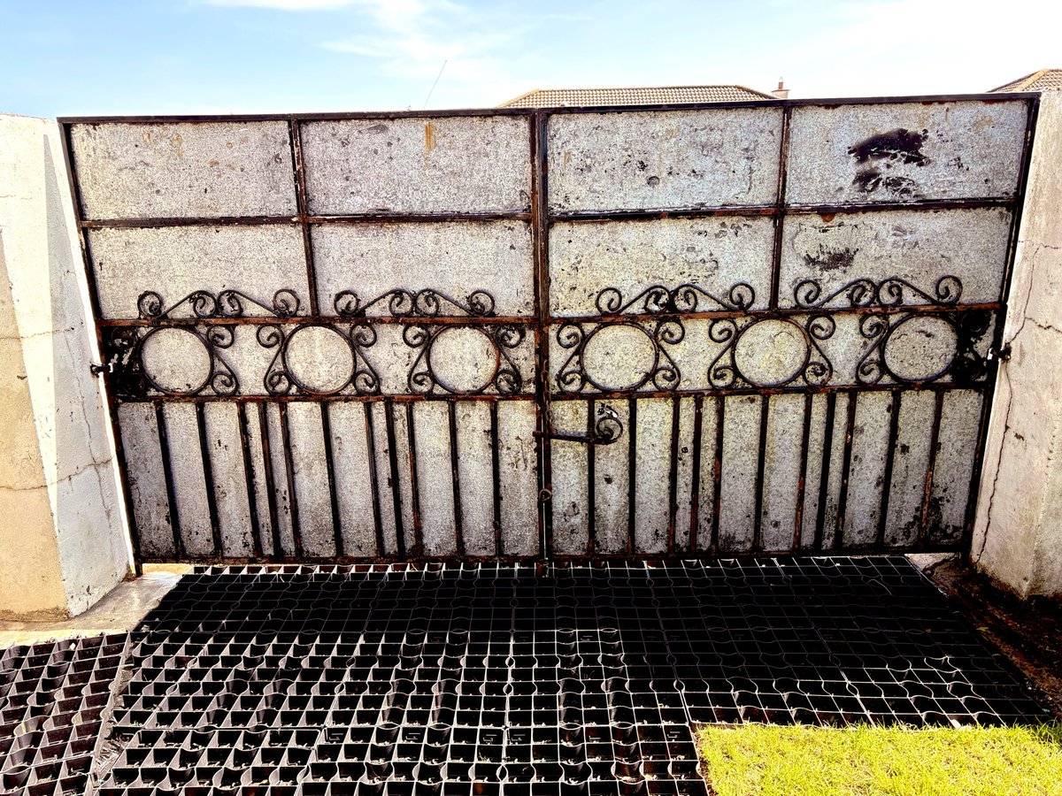 My Lens My Perspective tweet media