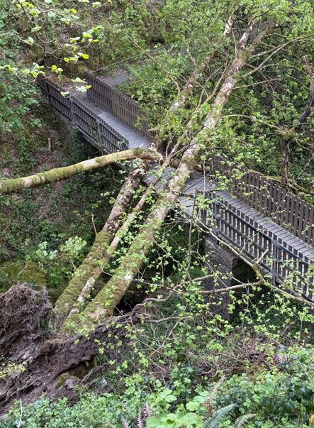 Talyllyn Railway tweet media