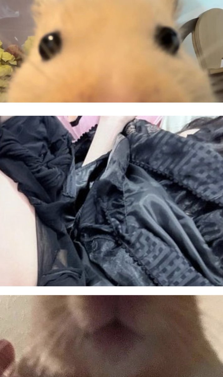 ʀɪɴᴀ tweet media