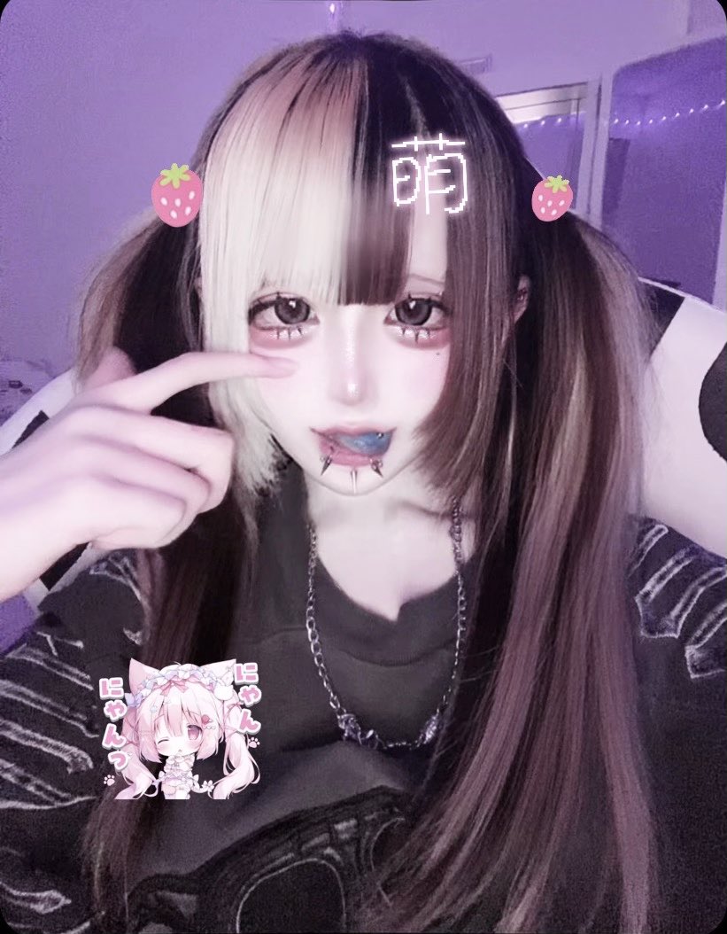 ちわわ蹴る tweet media