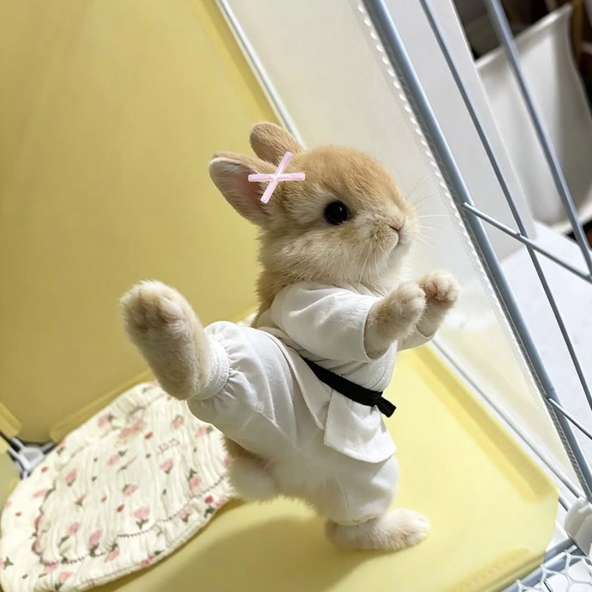 아가‎⸝*໒꒱ tweet media