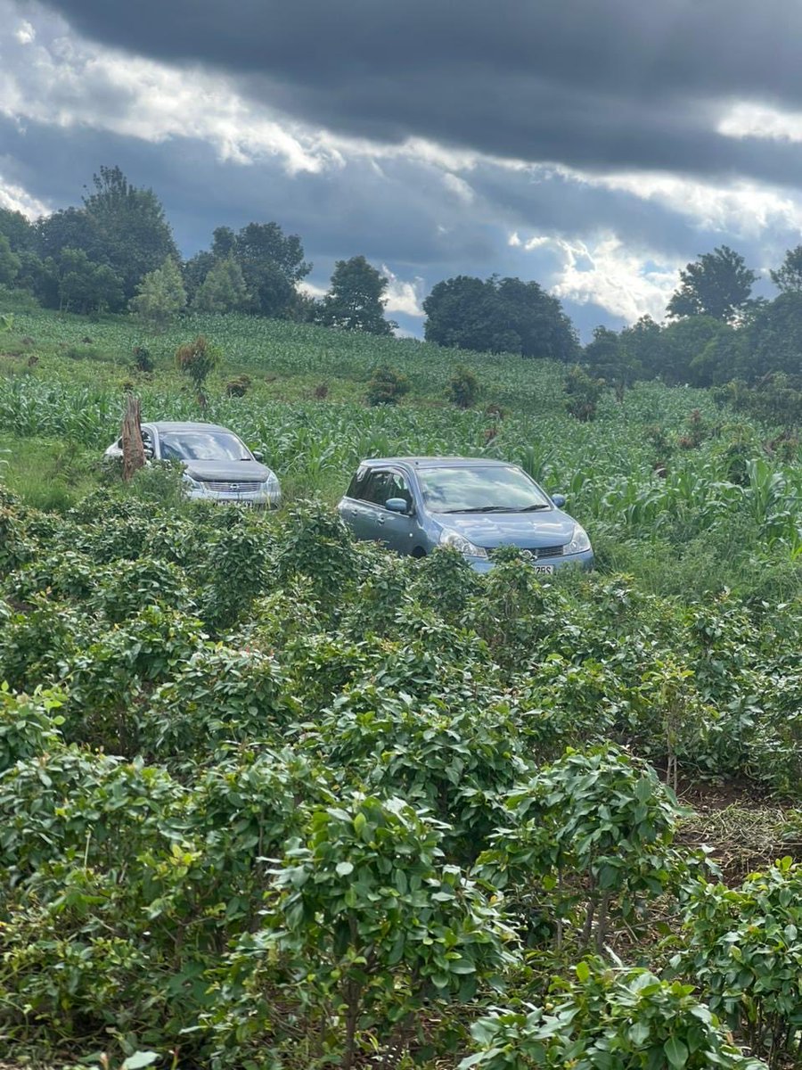 Jim Njue tweet media