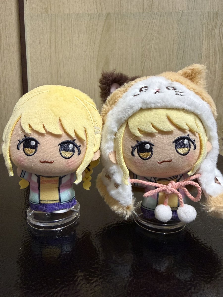 いかたこ tweet media