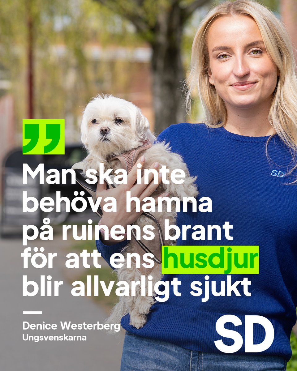 Sverigedemokraterna tweet media