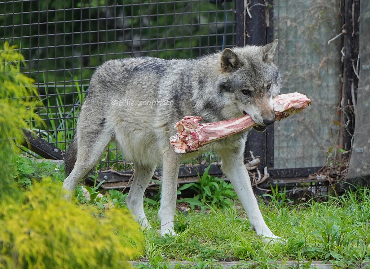 エリー tweet media