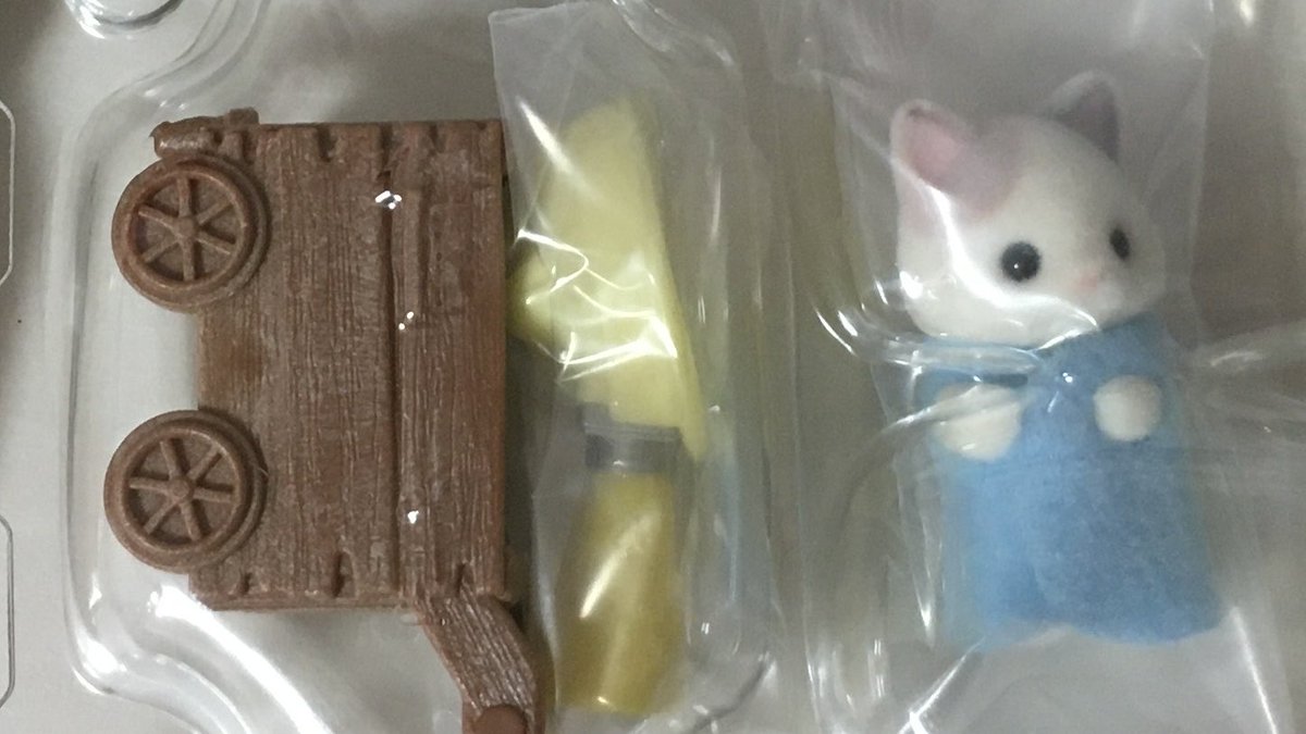 新たに仲間入り♩