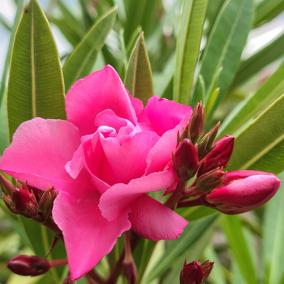 Alfredo Wasser tweet media