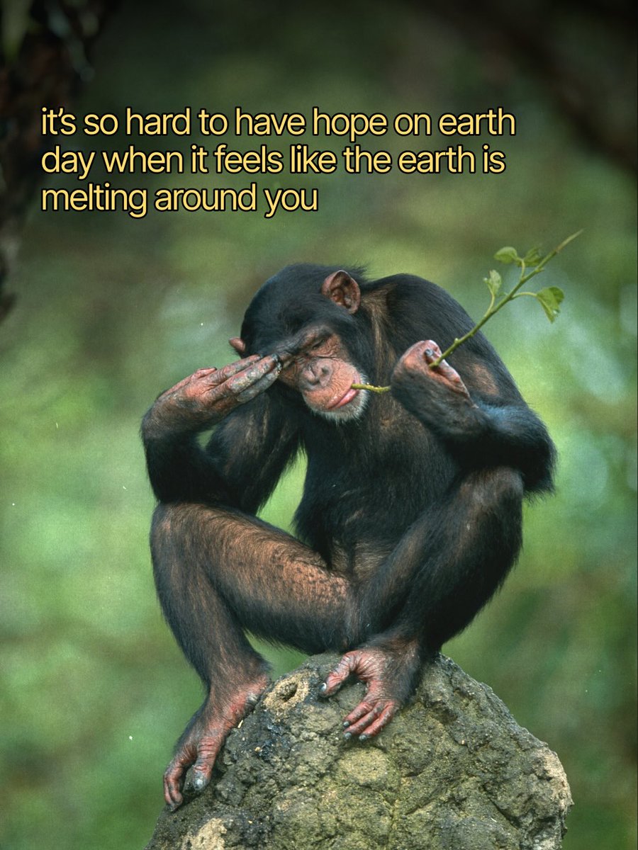 yourplanetonx's tweet image. Earth Day musings 🌍✨

Spend time outside, feel the soil in your hands, and breathe in fresh air 🌱 Talk with people you care about and share ideas to build a kinder world 🤝

#EarthDay #GoGreen

👍 Follow @yourplanet.earth for more
🙏 Turn on notifications for future updates