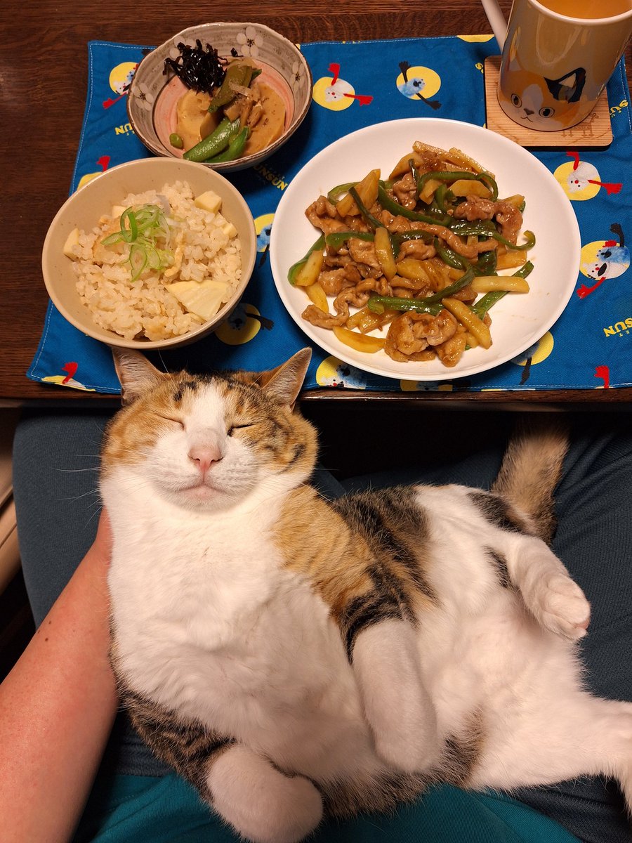 にこちゃまちゃんぬる tweet media