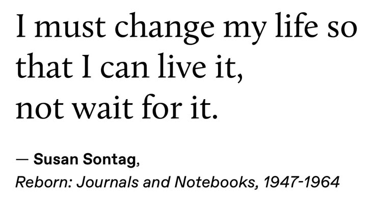 — Susan Sontag