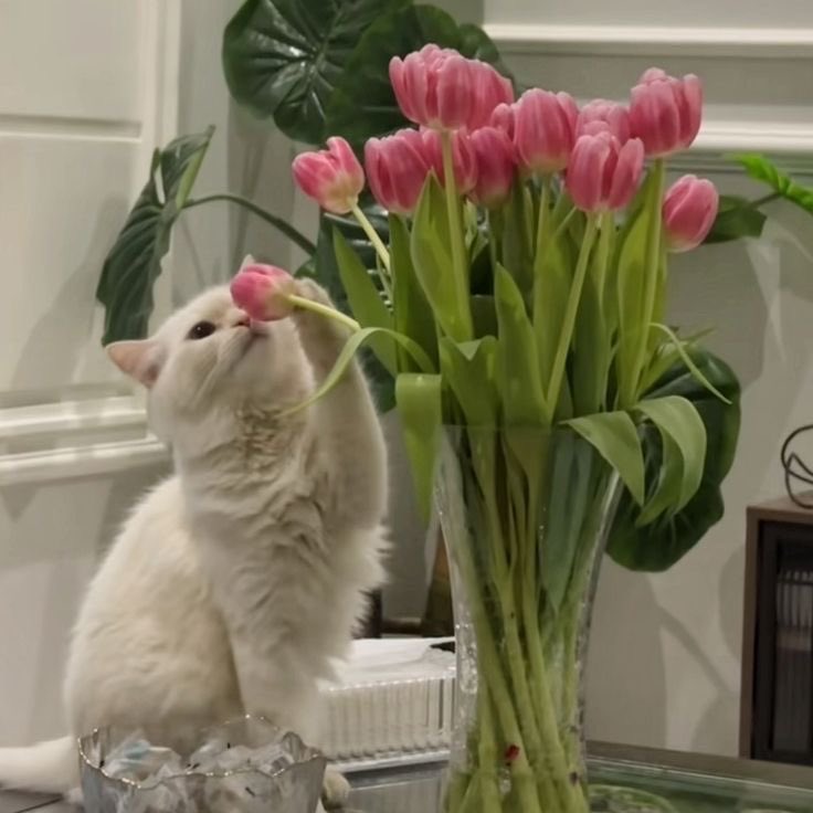 - morninq 🐶ྀི tweet media