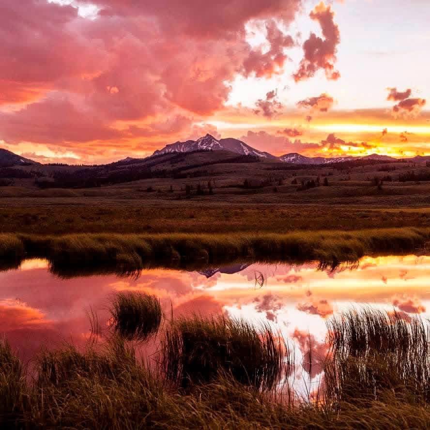 goldenshepard's tweet image. 🔅 I AM LOVING 🥰 AWARENESS❗️
🔅 I AM LOVING 🥰 AWARENESS❗️
🔅 I AM LOVING 🥰 AWARENESS❗️ 
🔅 I AM LOVING 🥰 AWARENESS❗️ 
🔅 I AM LOVING 🥰 AWARENESS❗️ 
🔅 I AM LOVING 🥰 AWARENESS❗️
🔅 I AM LOVING 🥰 AWARENESS❗️

~ Ram Dass #awareness #goodmorning #thursday