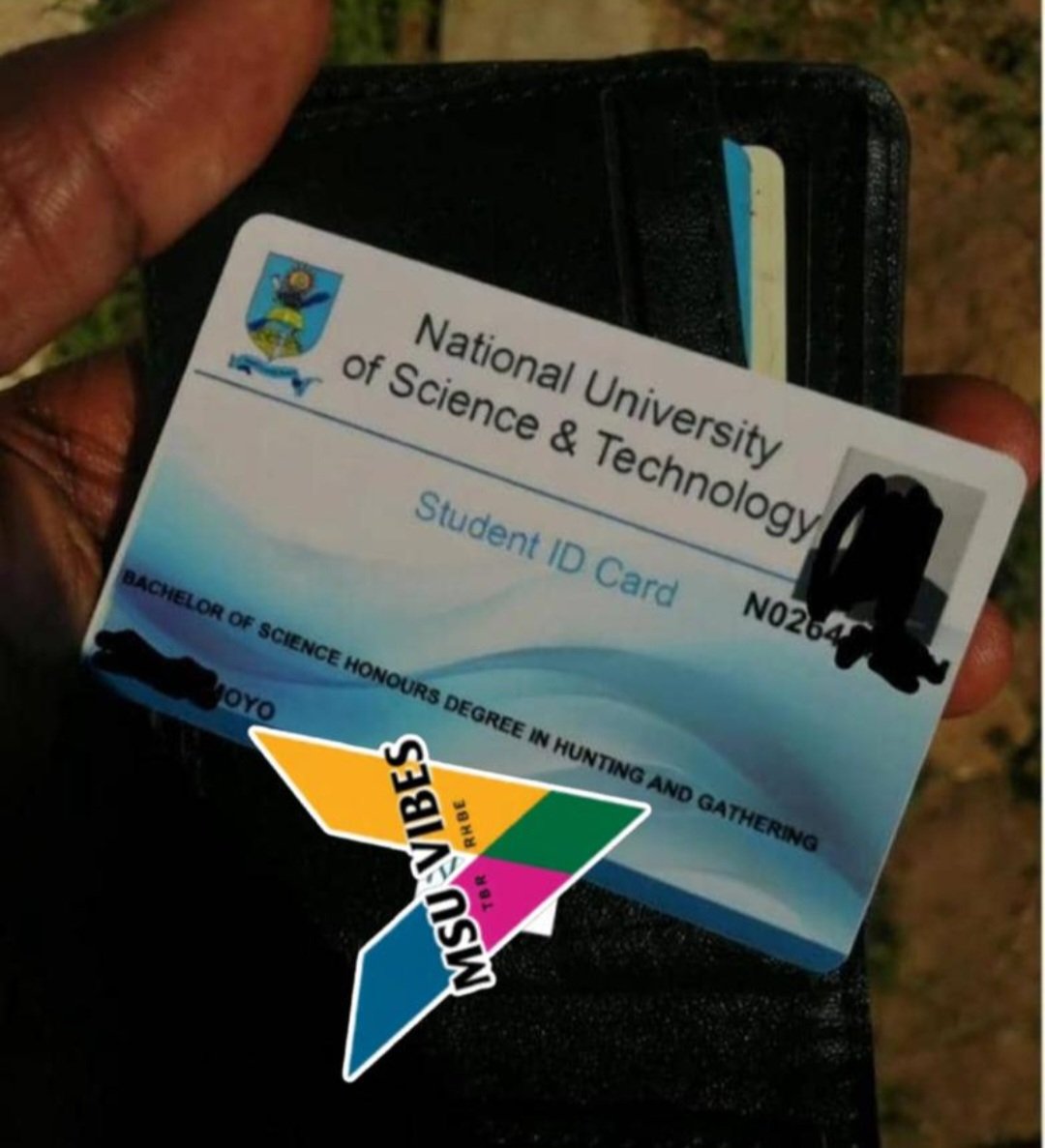 The Villager tweet media