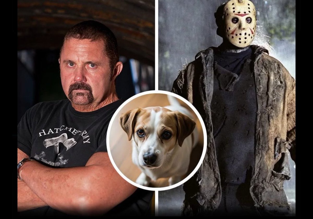 Puppies 🐶 tweet media