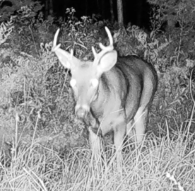 Heading to deer camp to install concrete floor in deer blind.