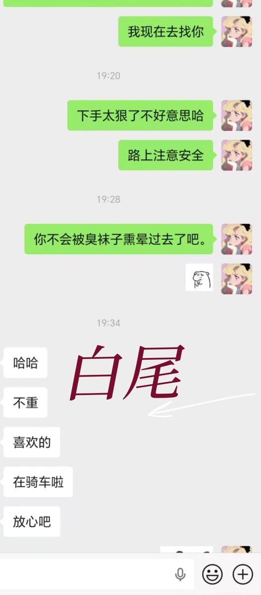白尾 tweet media
