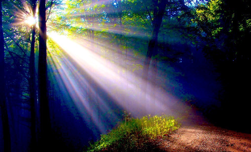 Manuela Forster tweet media