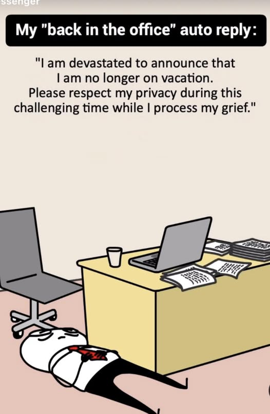 FinCane13 tweet media