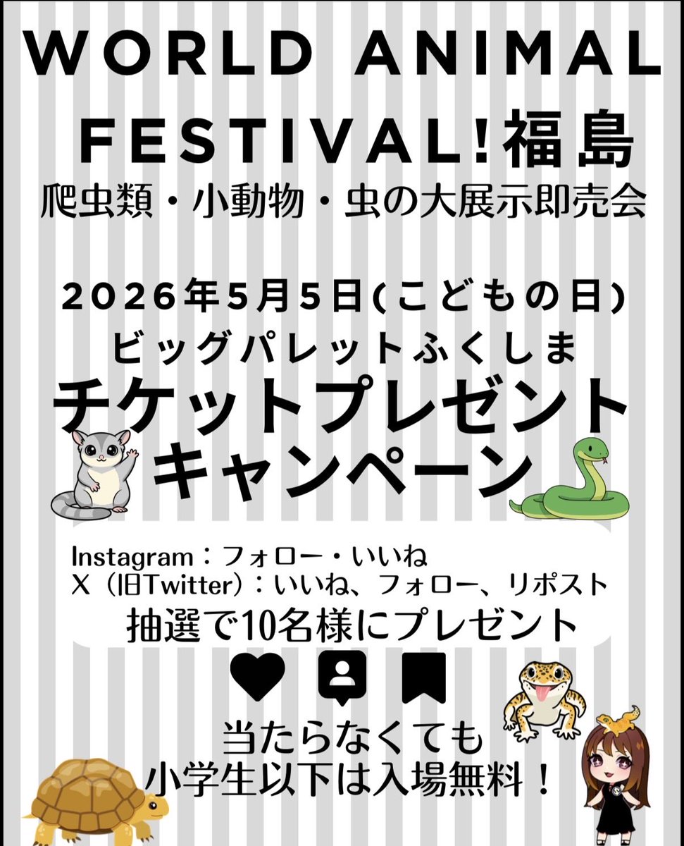 World Animal Festival! tweet media