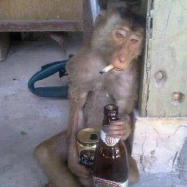 Mimi ⋆˚𝜗𝜚˚⋆ tweet media