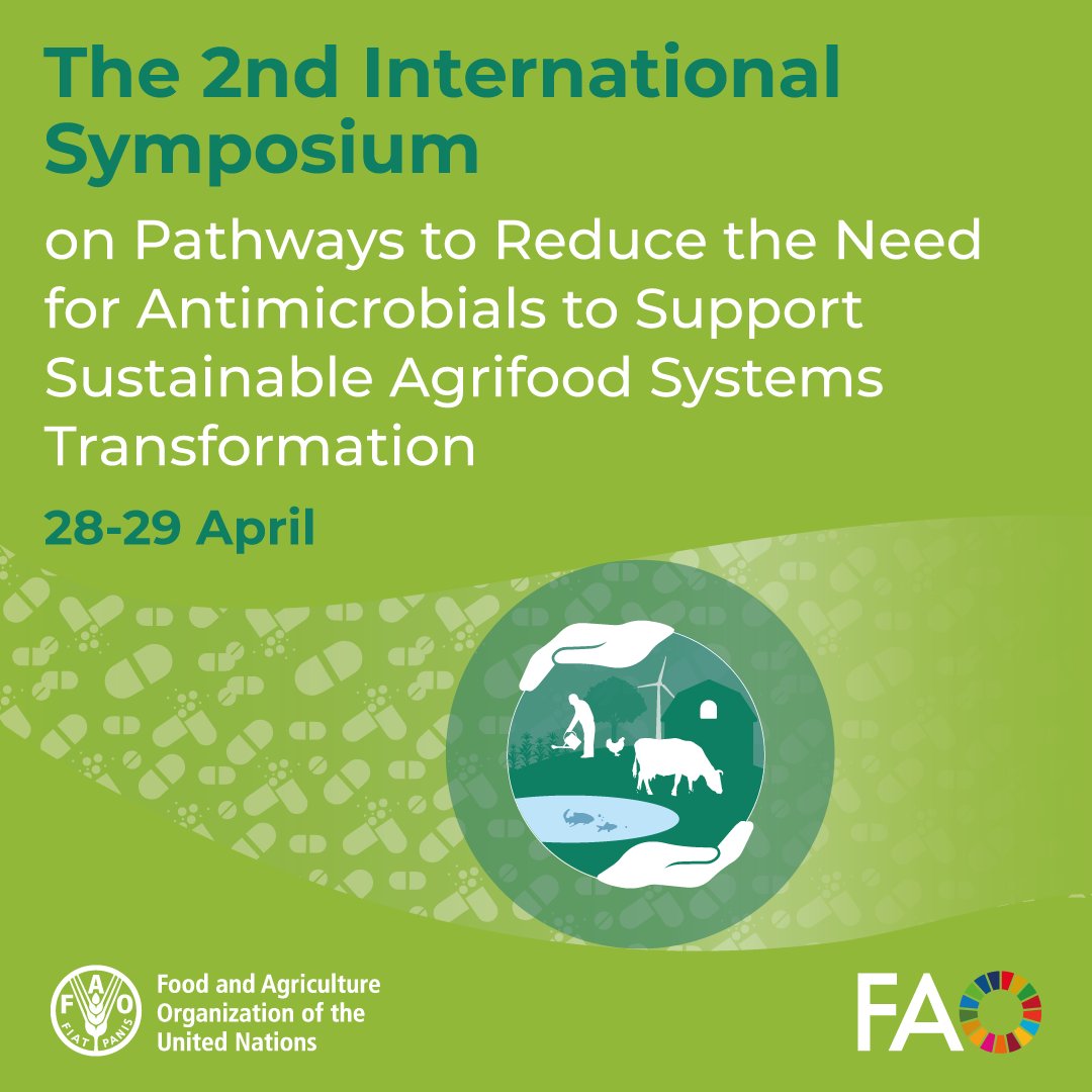 FAOLivestock's tweet photo. 🌍 Next week, @FAO convenes experts, farmers, governments &amp; partners in Chongqing, China for the 2nd International Symposium on RENOFARM, our 10-year initiative to reduce the need for antimicrobials on farms.

Addressing #AMR starts at the farm. 🌾🐄🐟

https://t.co/TDAKyu63ZX https://t.co/RRRLw4coaB