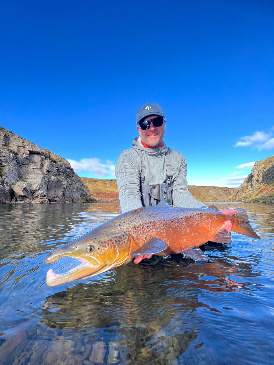 ElevenAngling's tweet image. While the waters we fish are close to the sea, Atlantic salmon often hold in freshwater for long periods of time providing beautiful late season coloring.

#flyfishing